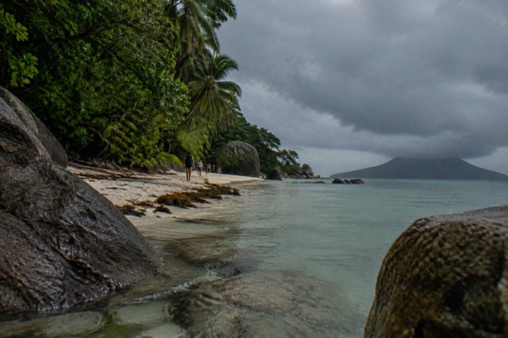 Granite boulders and rainforest meeting clear blue ocean water along an island shoreline