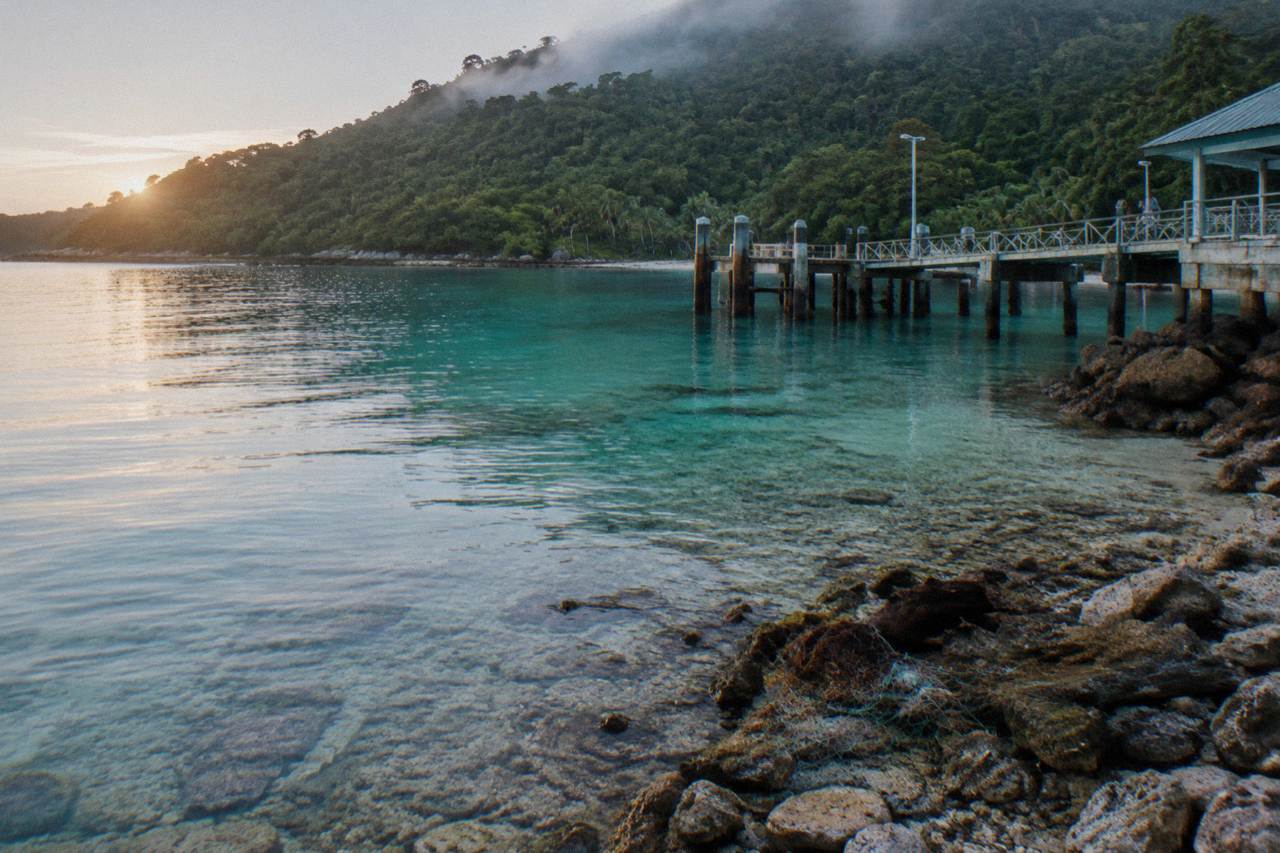 Calm turquoise water washing over coral rubble at a sheltered island bay fringed by rainforest