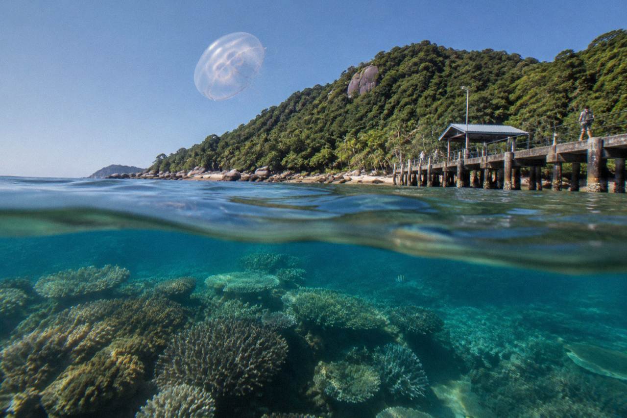 Clear shallow water over coral reef beside a tropical island headland