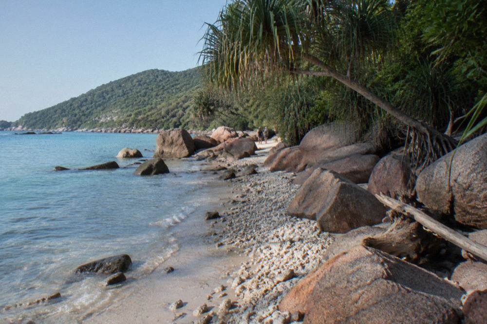 Granite boulders and rainforest meeting a coral sand beach under a clear sky