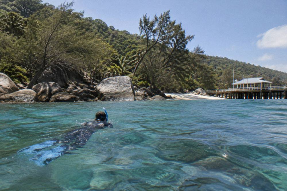 A snorkeller in a lycra suit swimming over coral heads in sheltered island water