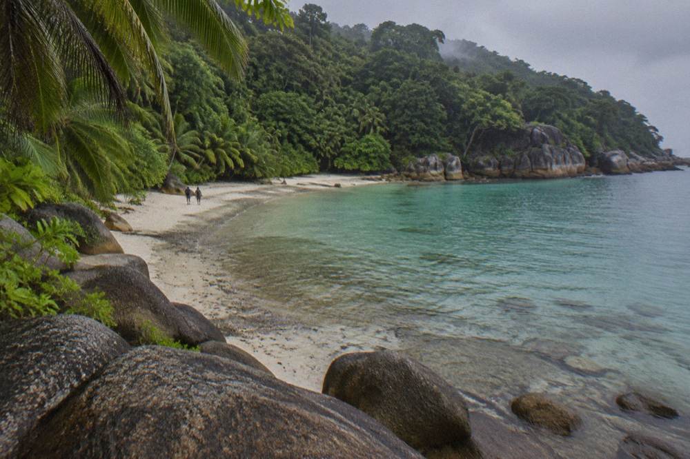 A sheltered sandy cove with clear shallow water and rainforest behind the beach