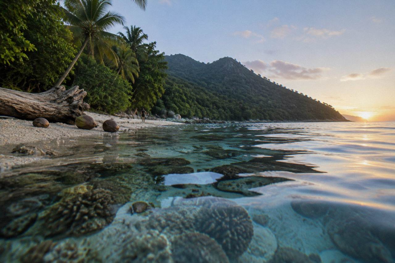 Calm turquoise water over a fringing coral reef beside a rainforest covered island