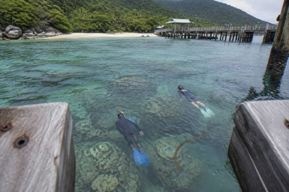 Snorkellers in lycra suits swimming over shallow coral in a sheltered tropical bay