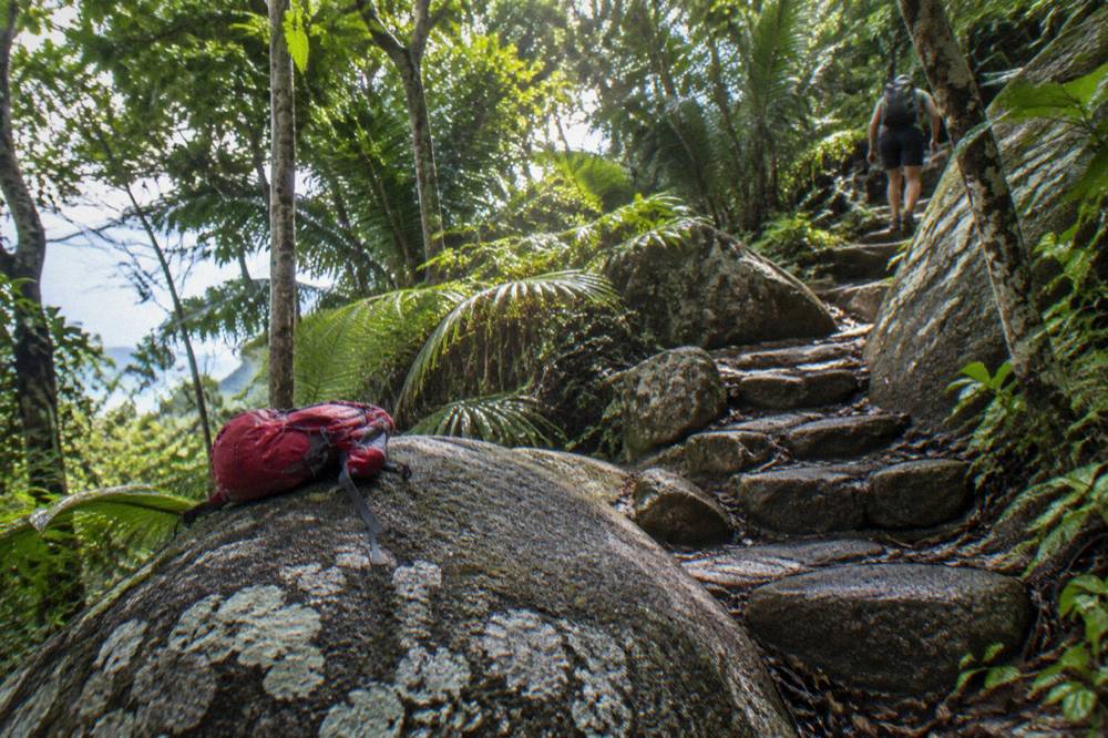A walking track climbing through dense rainforest with granite boulders beside the path
