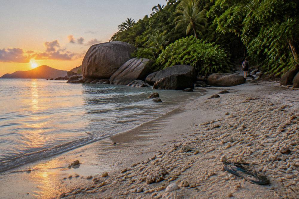 Turquoise water and coral beach with a walking track leading into rainforest