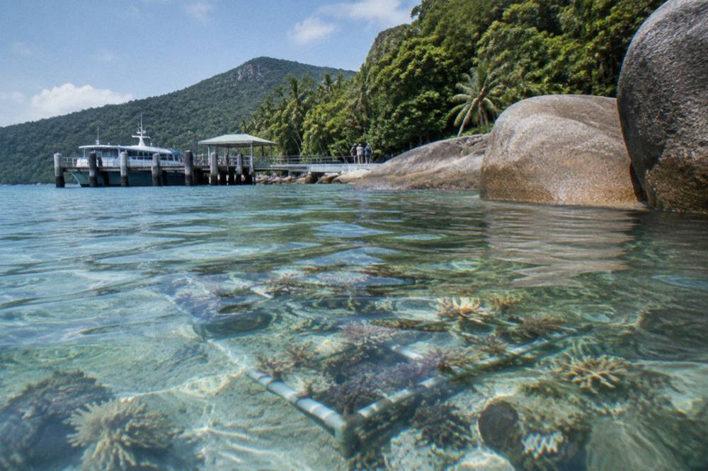 Granite boulders and coral reef visible through clear water near a sheltered bay