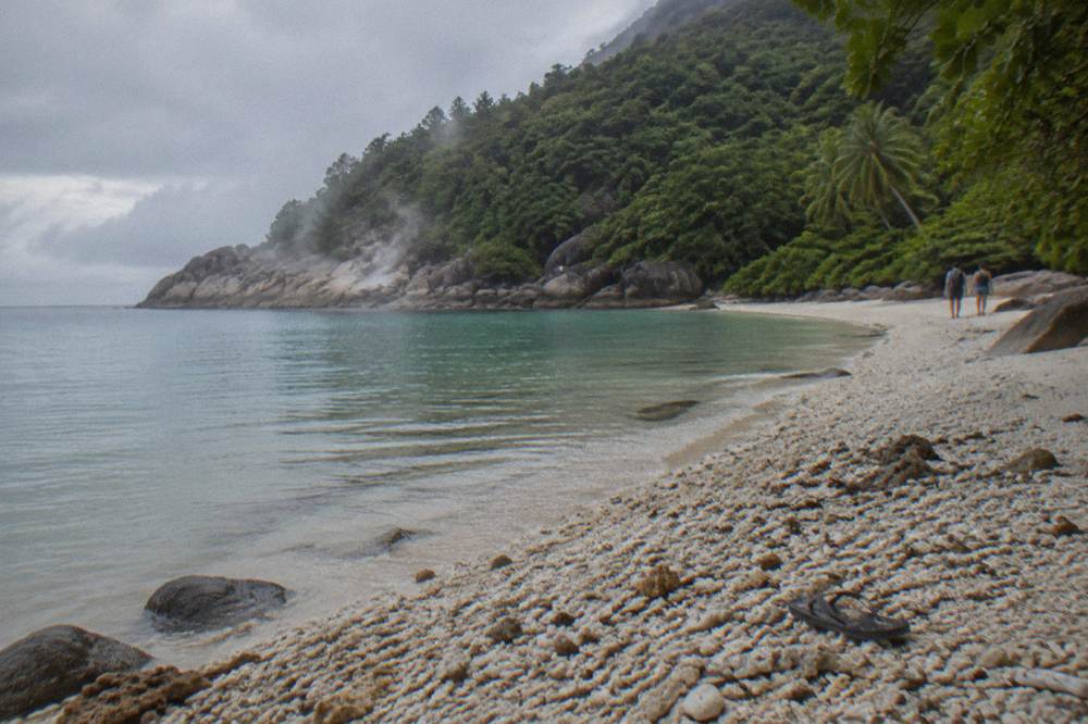 A sheltered tropical beach with calm water and forested headland behind it
