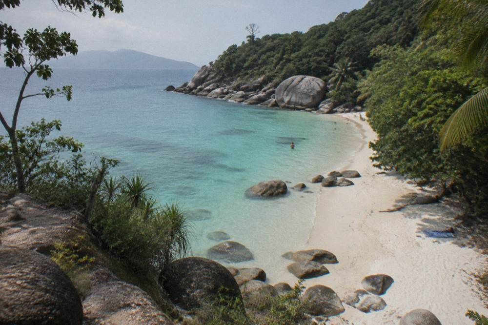 A white sand beach enclosed by granite boulders and rainforest trees