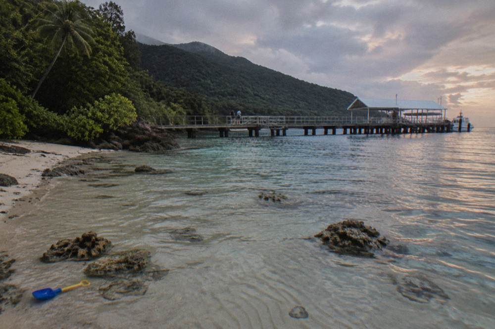 Shallow clear water over sandy patches and coral near a beach with rainforest behind