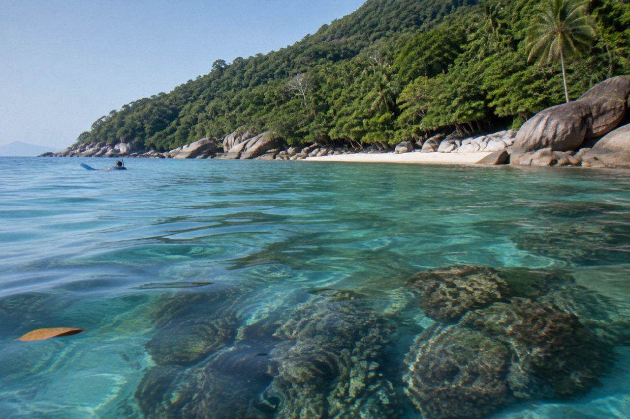 Calm turquoise water over coral beside a rainforest covered island shoreline