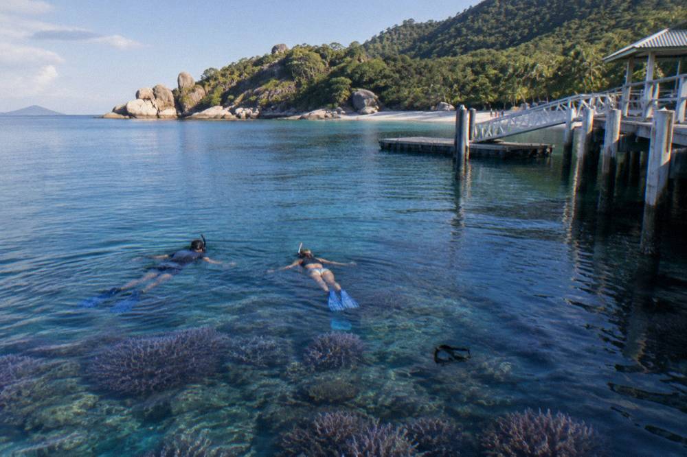 Snorkellers floating above coral in calm sheltered bay water