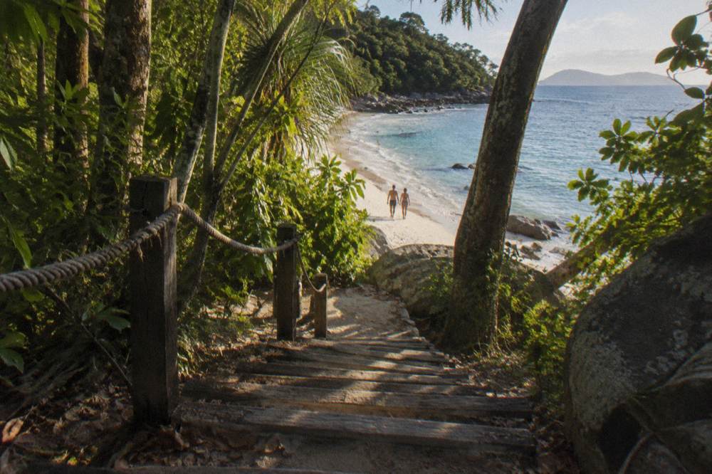 Rainforest walking track with timber steps leading toward a beach
