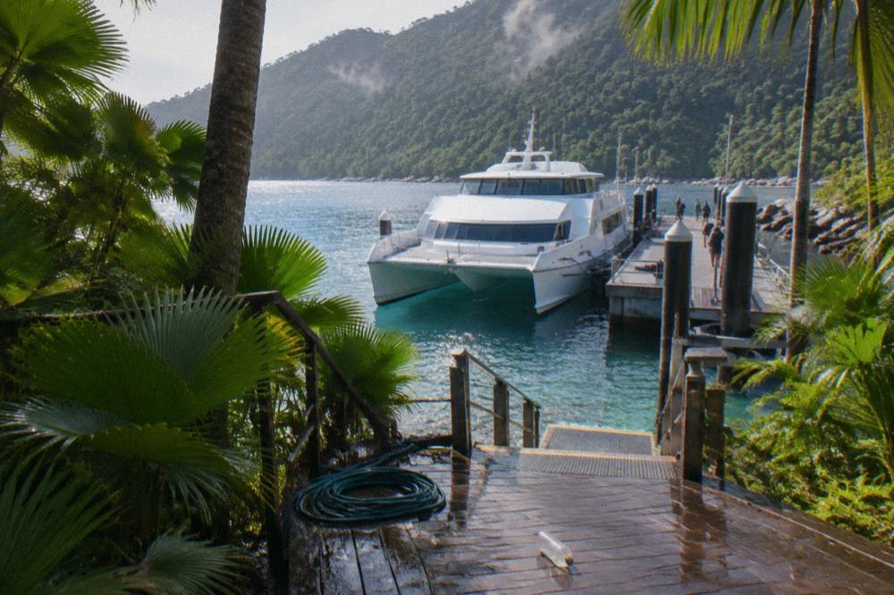 Ferry catamaran docked at the jetty on Fitzroy Island with rainforest behind
