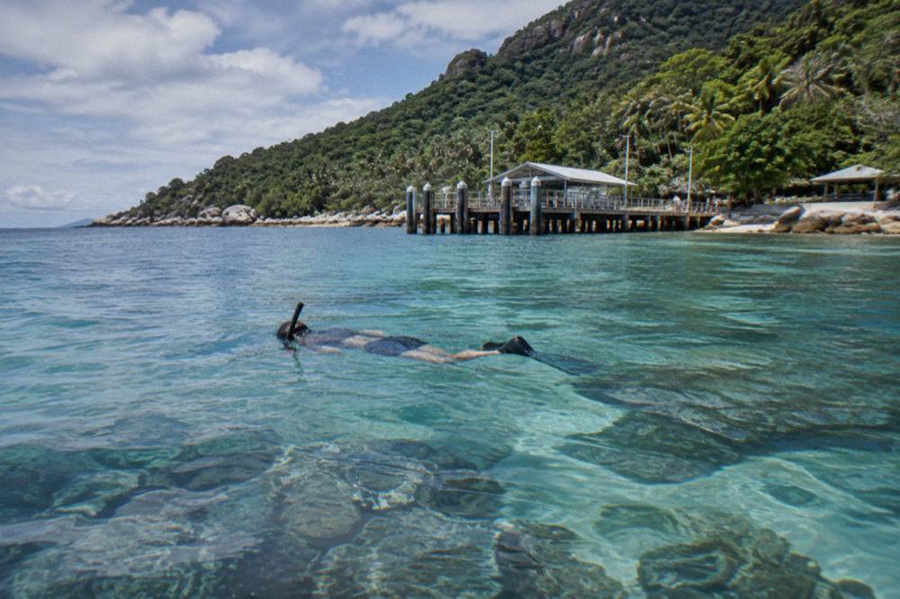 Snorkeller floating over coral in clear shallow water at Fitzroy Island