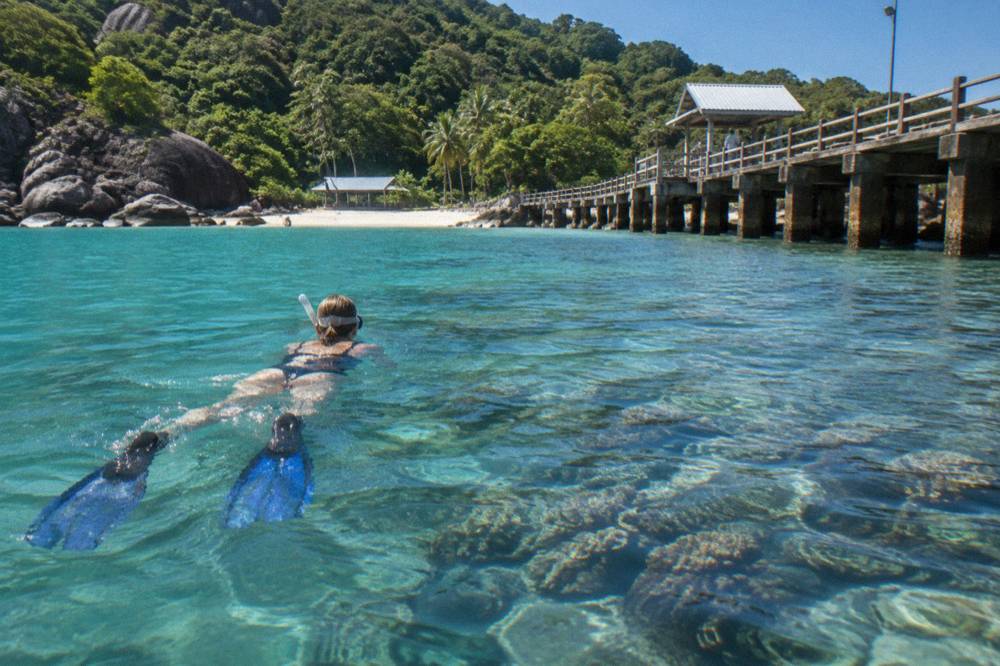 A snorkeller floating above coral in calm sheltered bay water