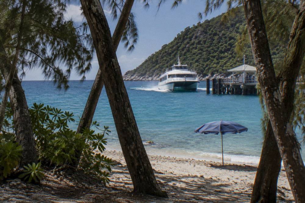A fast catamaran ferry approaching a jetty in a sheltered tropical bay