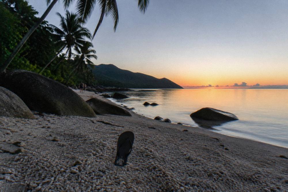 Palm trees and calm bay water at a tropical island beach