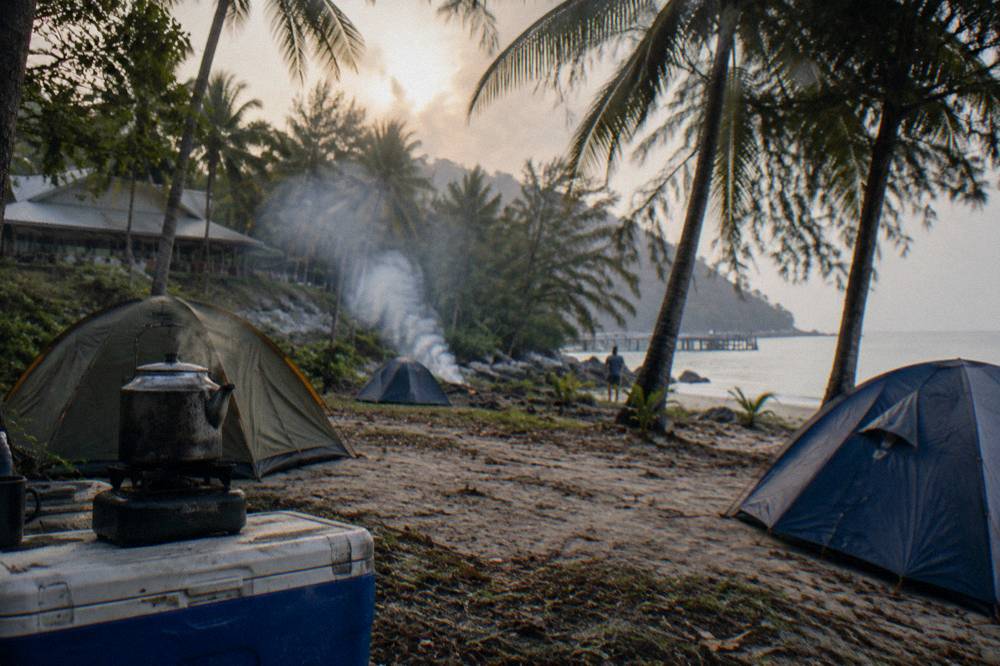 Tent sites on a beachfront campground near palm trees