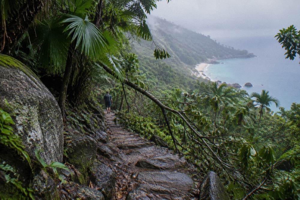 Rainforest path with stone steps leading through dense greenery toward Nudey Beach
