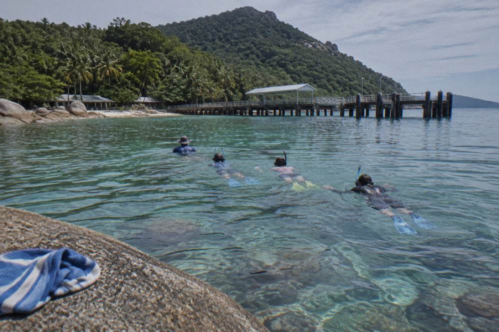A small group of snorkellers following a guide across a shallow reef