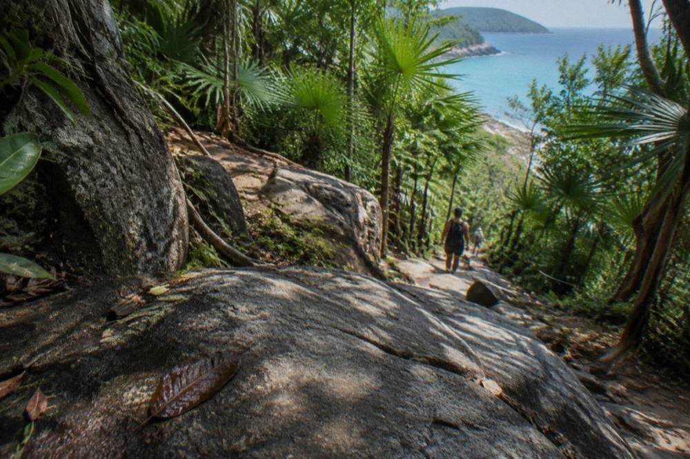 A rainforest walking track with dappled light and granite boulders