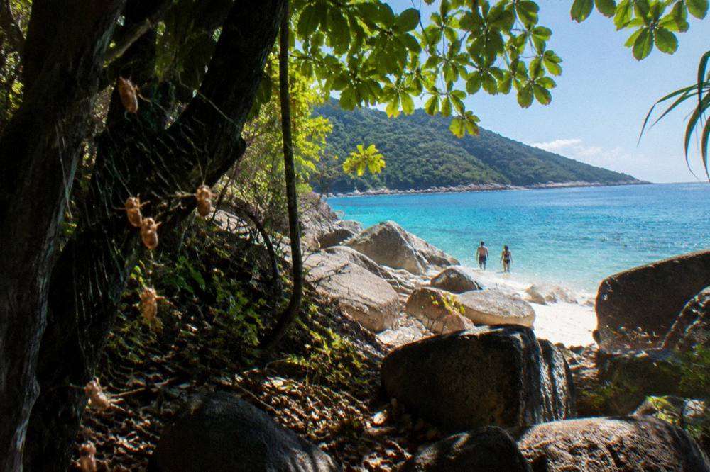 Granite boulders and tropical vegetation along a shoreline at midday