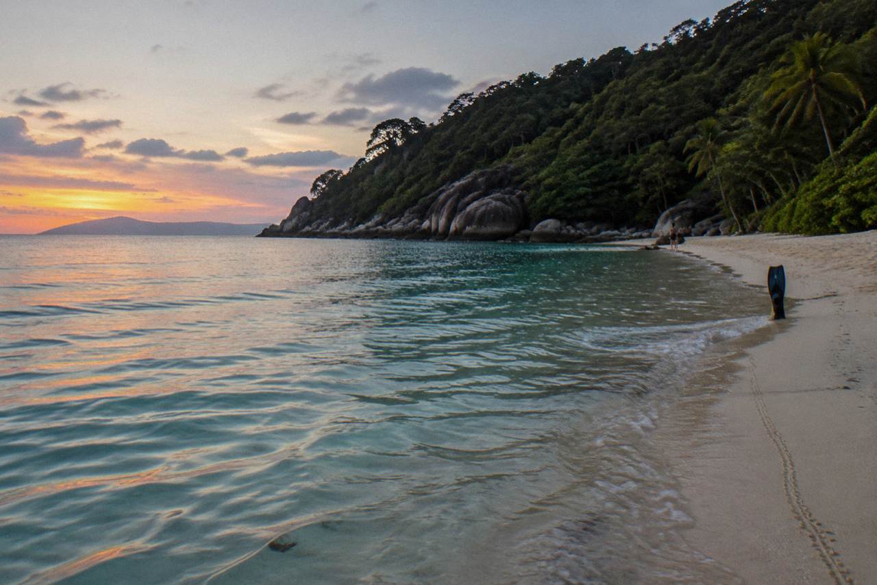 A sheltered sandy beach with calm turquoise water and forested headland behind it
