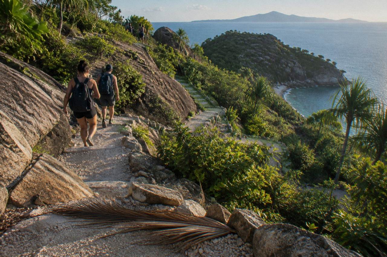 A steep walking track climbing through rainforest toward a rocky headland on a tropical island