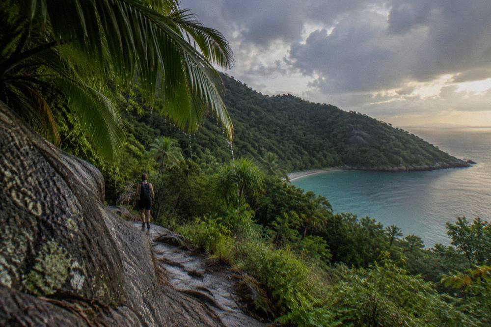 Rainforest canopy meeting granite rocks above a calm bay