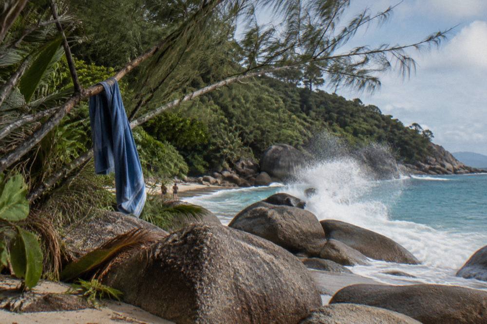 Granite boulders and rainforest vegetation along a tropical island shoreline
