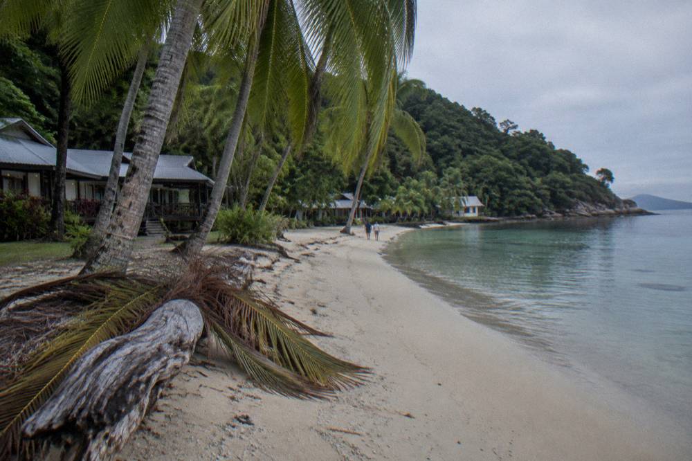 White coral sand beach fringed by palm leaves and calm clear water