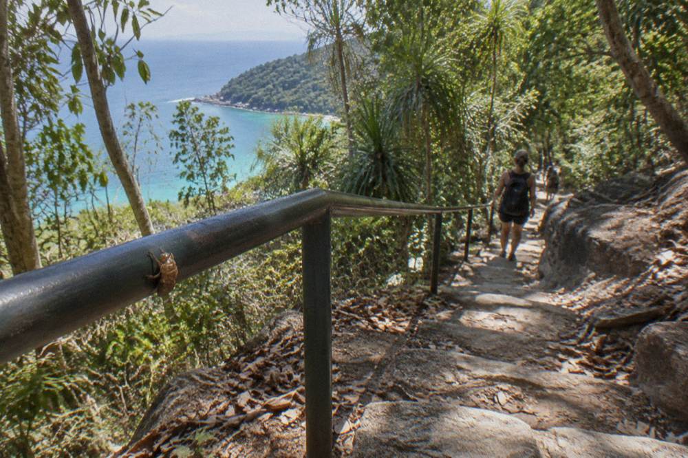 Steep rainforest trail with stone steps climbing through dense green canopy