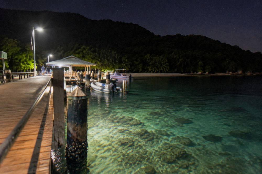 Timber jetty over clear shallow water with rainforest covered hills behind