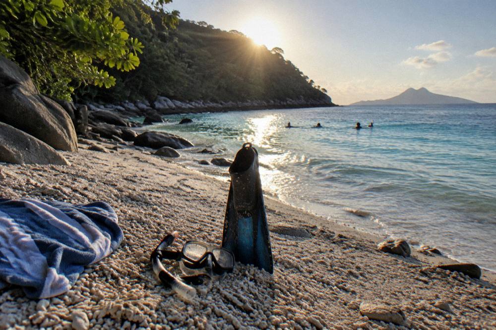 Snorkeller's mask and fins resting on coral rubble beside turquoise shallows
