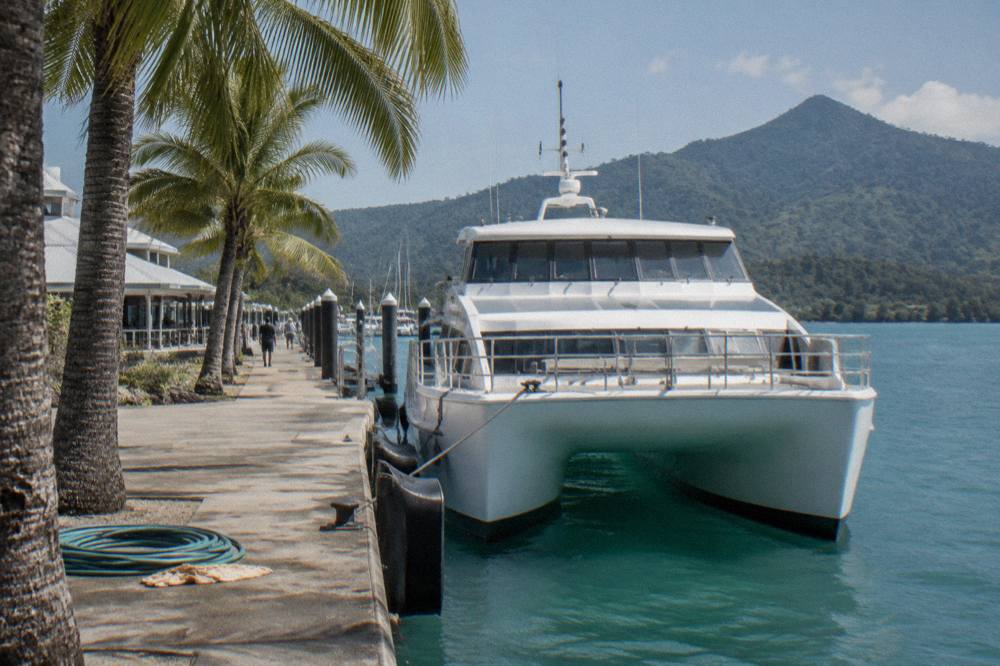 Fast catamaran ferry docked at a marina berth with palm trees along the waterfront