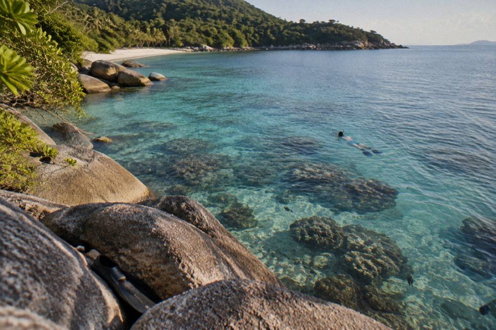 Snorkeller floating over coral and small reef fish in shallow clear water