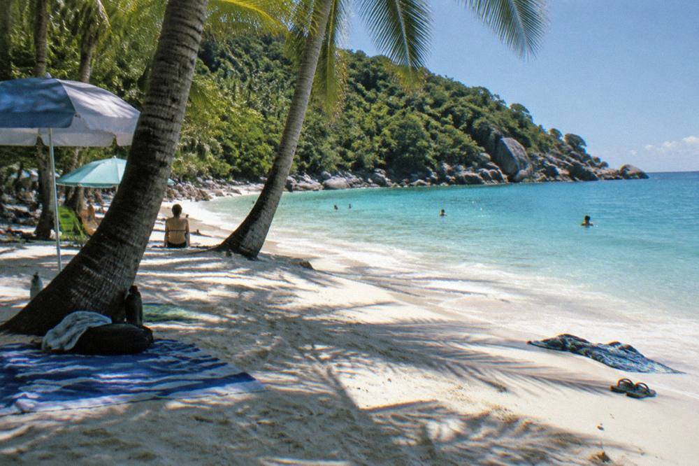 Beach umbrellas and towels on sand under palm shade at midday