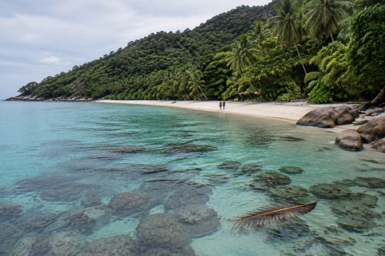 Calm turquoise water over coral at a sheltered tropical beach backed by rainforest