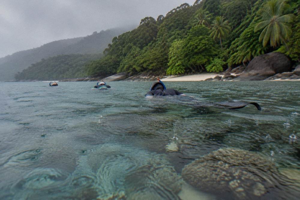 Snorkellers in lycra suits floating over shallow coral in a sheltered bay