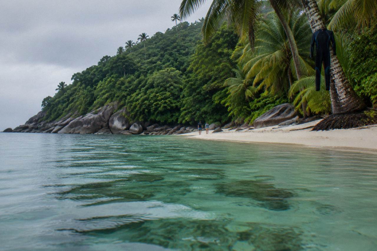 Calm turquoise water over coral beside a rainforested tropical island headland