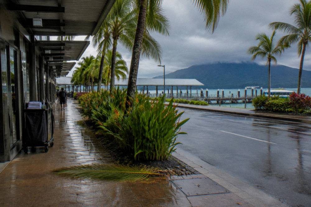 Palm-lined Cairns street with hotels and tropical planting in the city centre