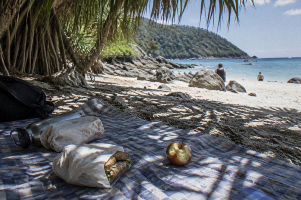 Water bottle and wrapped sandwiches on a towel under pandanus shade near white sand