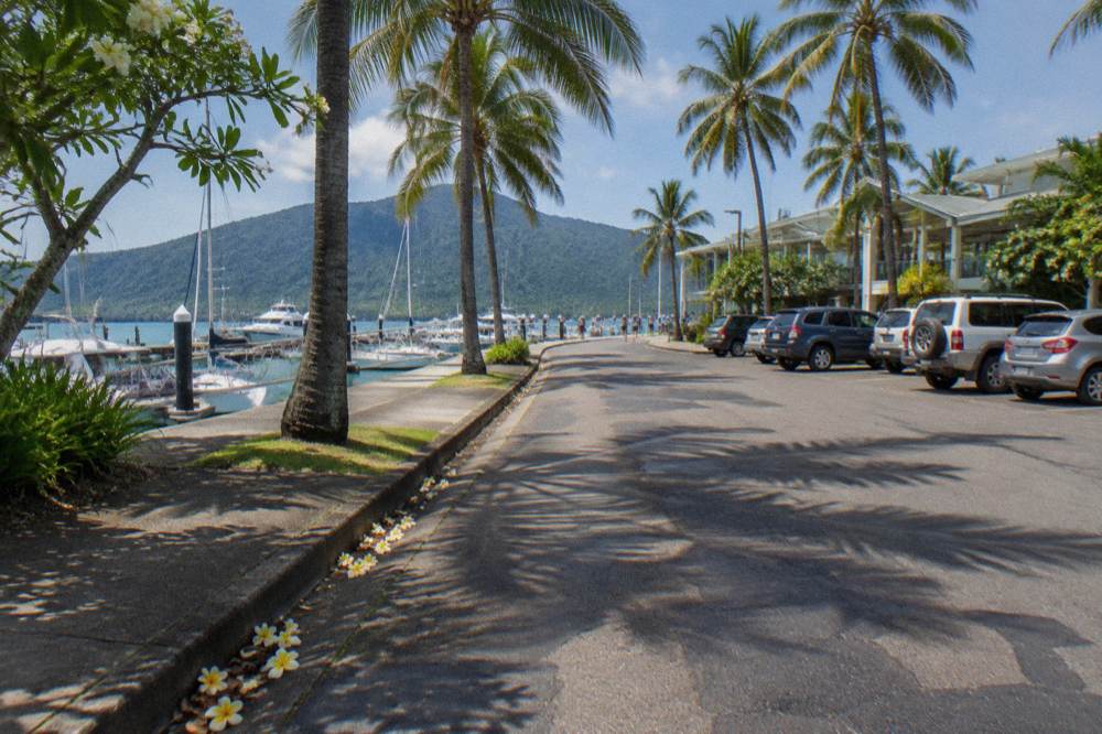 Cairns city street with parked cars and palm trees near the waterfront
