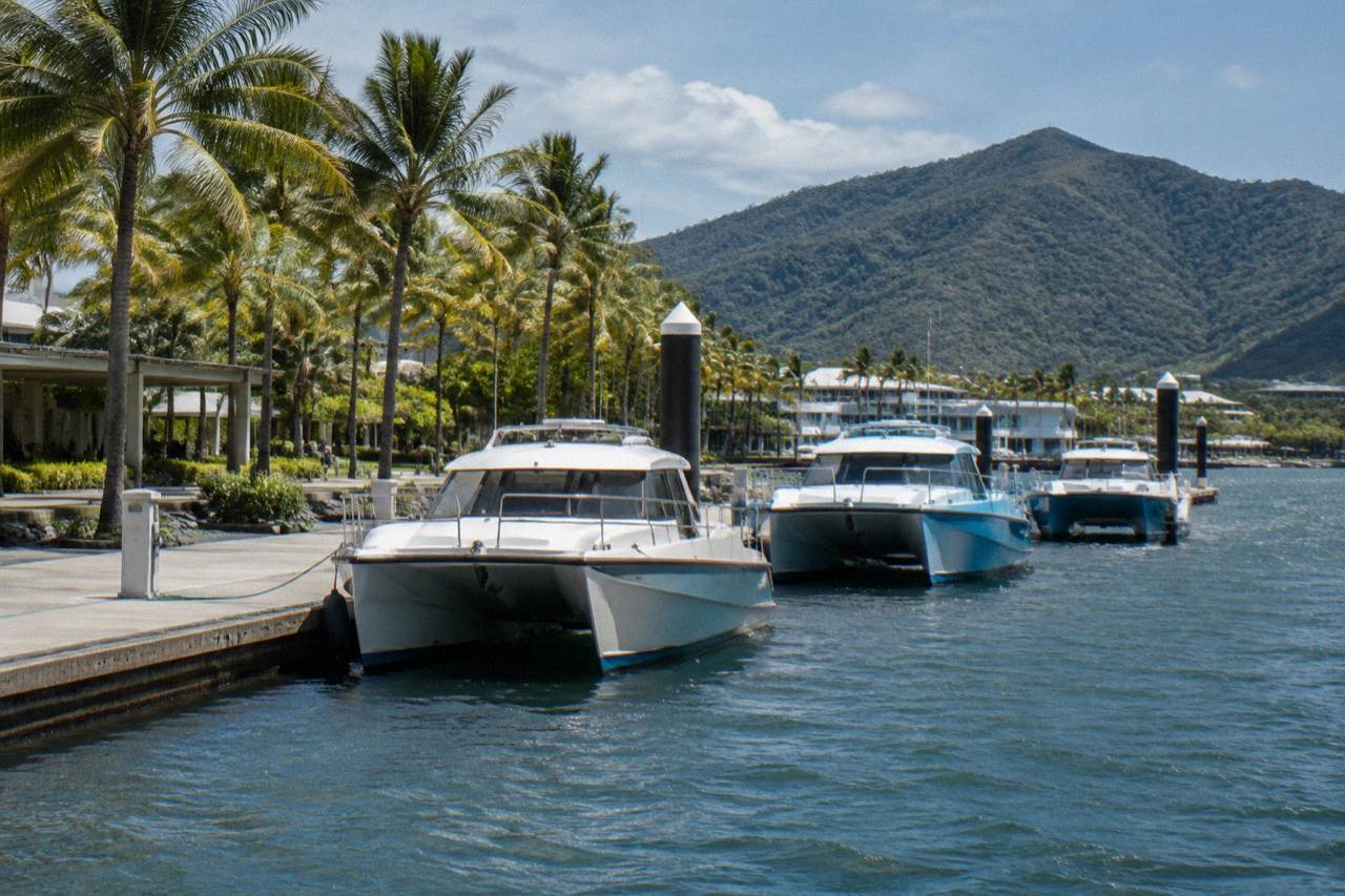 Cairns marina waterfront at morning with boats moored and palm trees along the promenade